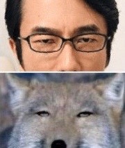 「おっさんずラブ」新作で空へ！田中圭×吉田鋼太郎は続投、千葉雄大と戸次重幸が参加