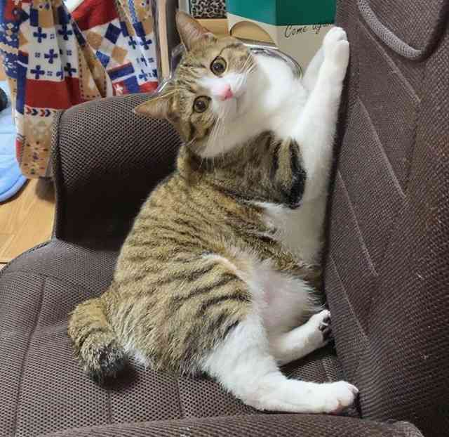 こりゃモテますわって画像を貼ろう
