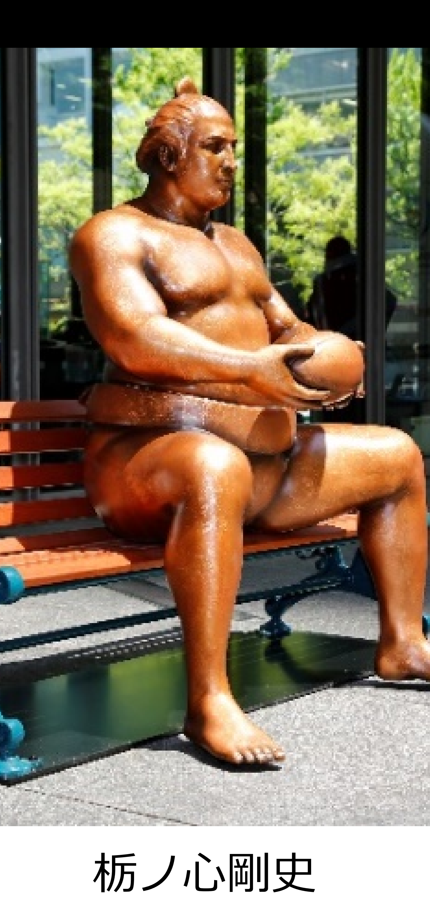 【実況・感想】大相撲9月場所を応援するトピ 【15日間見届けよう】