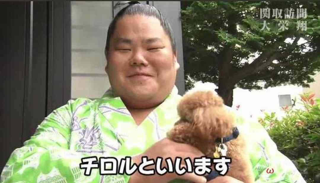 【実況・感想】大相撲9月場所を応援するトピ 【15日間見届けよう】