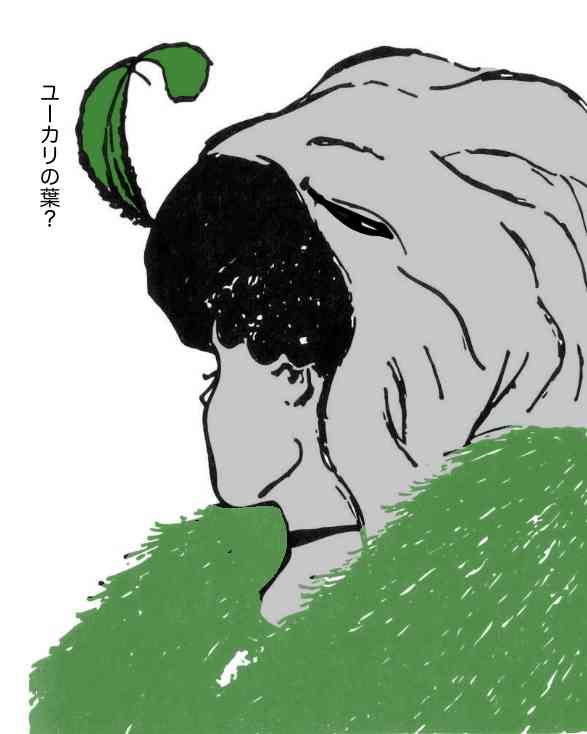 目の錯覚画像が見たい