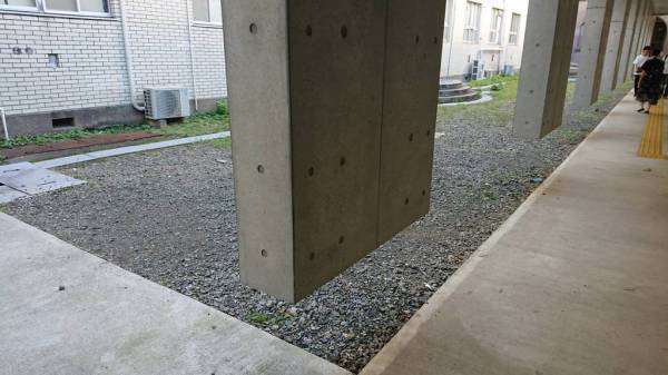 目の錯覚画像が見たい