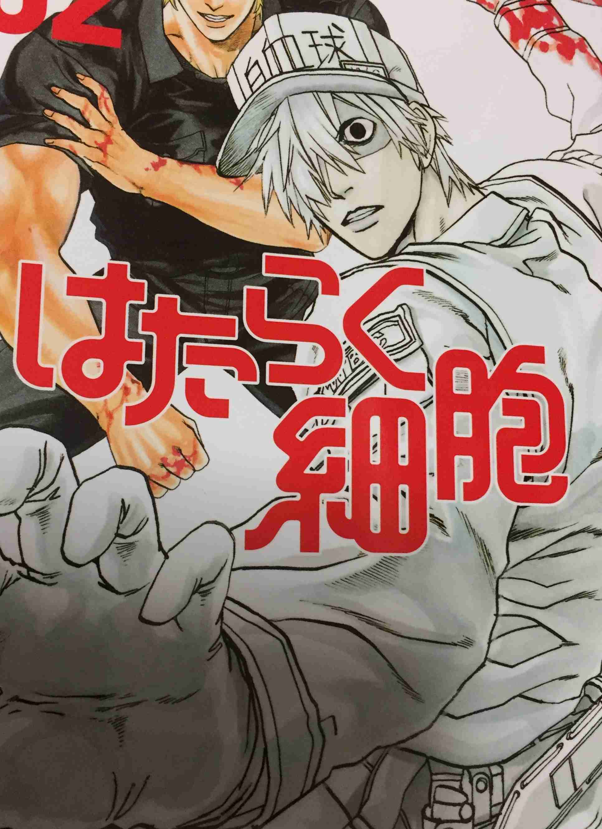 目の錯覚画像が見たい