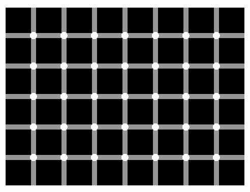 目の錯覚画像が見たい