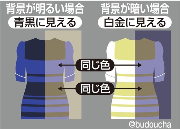 目の錯覚画像が見たい