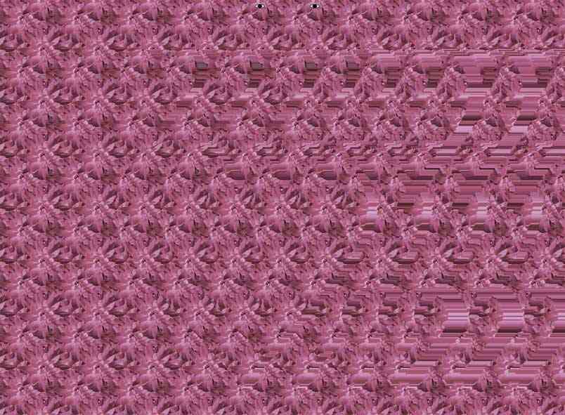 目の錯覚画像が見たい