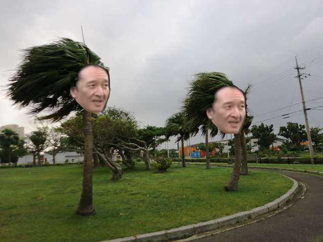 悠仁さま、ブータンに出発＝初の海外、秋篠宮さまと別便