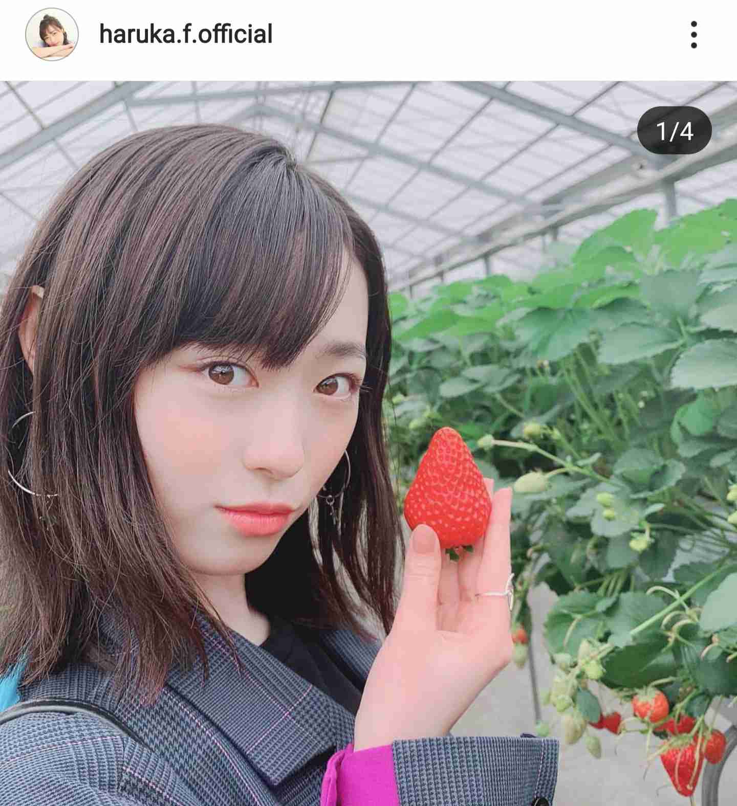 『ZIP！』登場のまいんちゃんこと福原遥　「爽やか」「イラつく」評価真っ二つ！