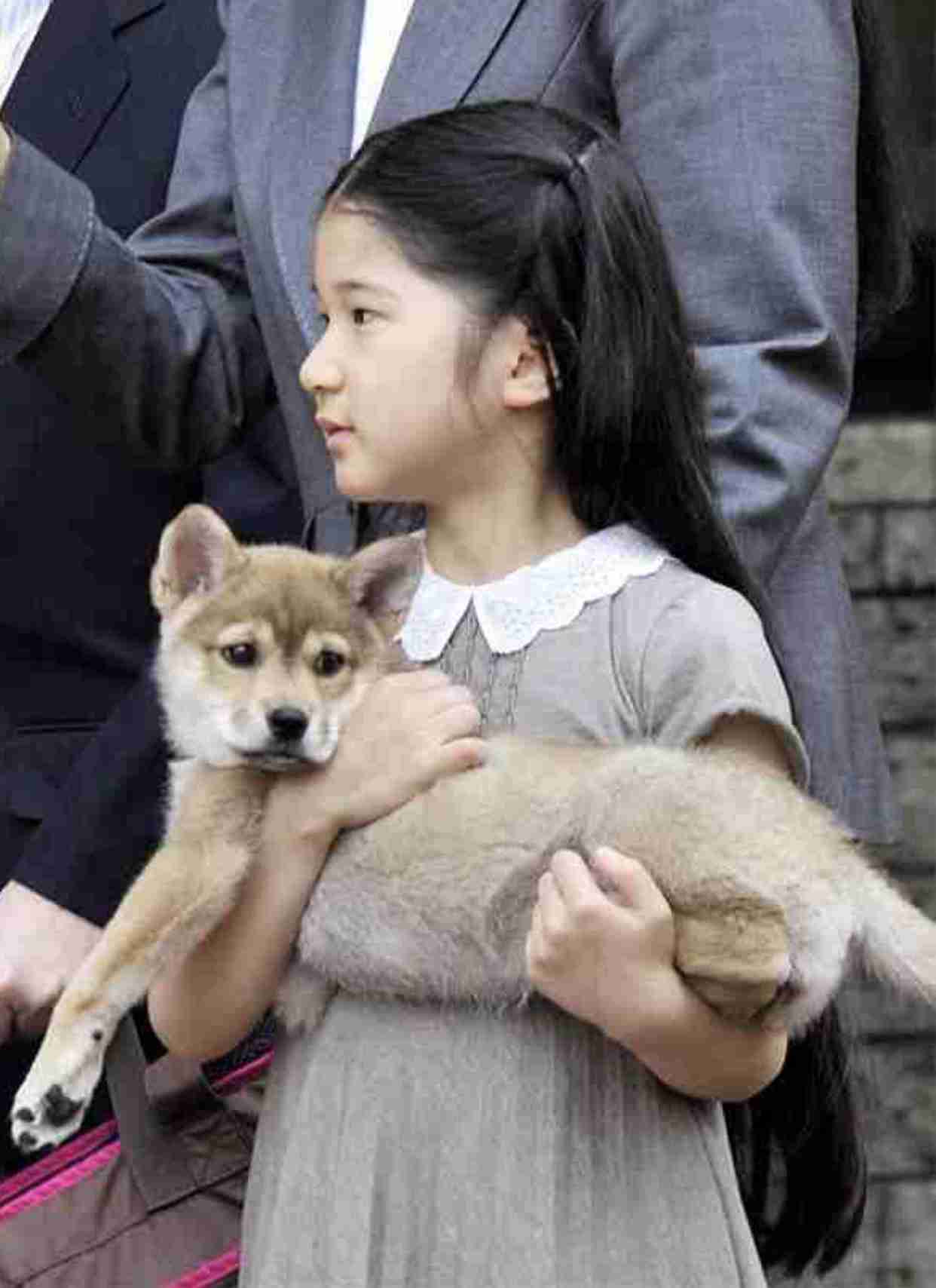 愛子さま 学習院の国際系学部に進学か、学内では志望者急増