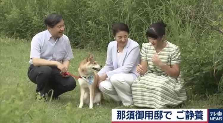 愛子さま 学習院の国際系学部に進学か、学内では志望者急増