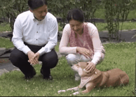 愛子さま 学習院の国際系学部に進学か、学内では志望者急増