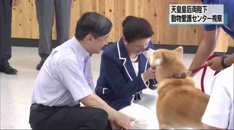 愛子さま 学習院の国際系学部に進学か、学内では志望者急増