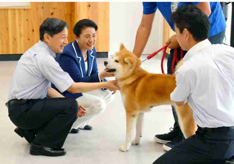 愛子さま 学習院の国際系学部に進学か、学内では志望者急増