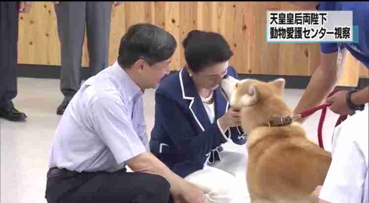 愛子さま 学習院の国際系学部に進学か、学内では志望者急増