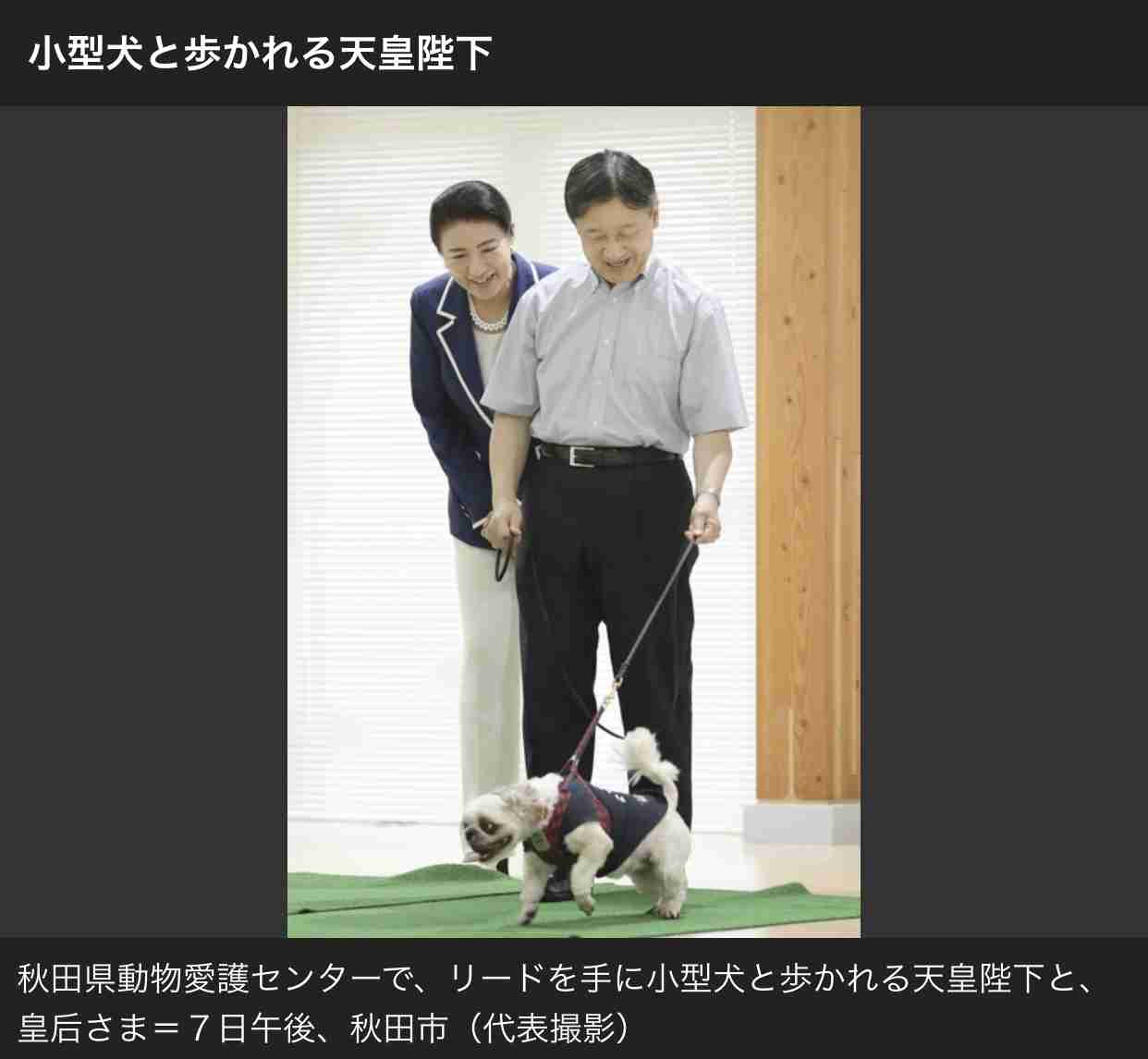 愛子さま 学習院の国際系学部に進学か、学内では志望者急増