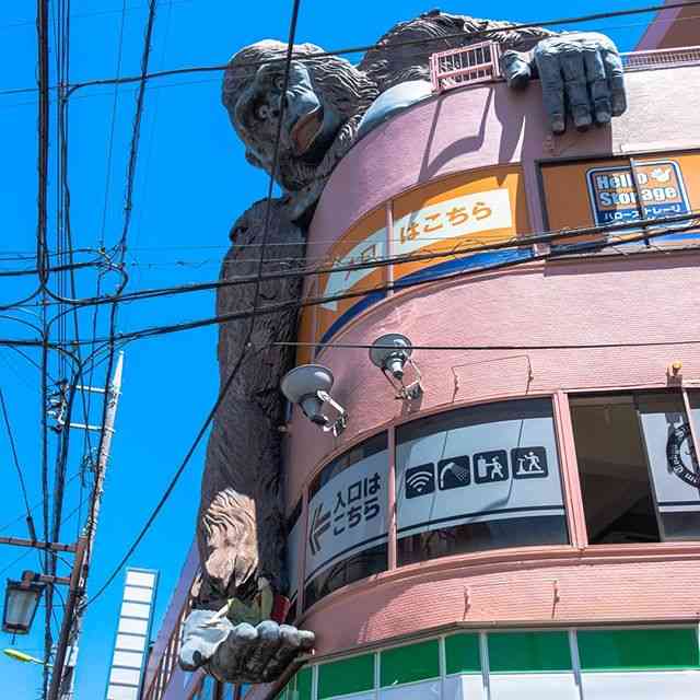 珍建築に興味ある方!
