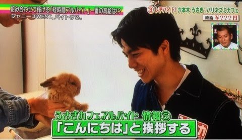 池田エライザ、花粉症デビュー? 苦悩報告にファン共感と助言