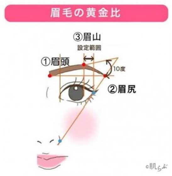 眉毛難民