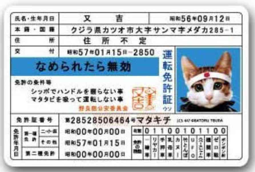 横浜銀蝿、ツッパリオヤジ還暦編…37年ぶりに再集結