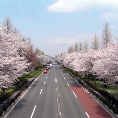 あなたが好きな、東京の街や場所♪