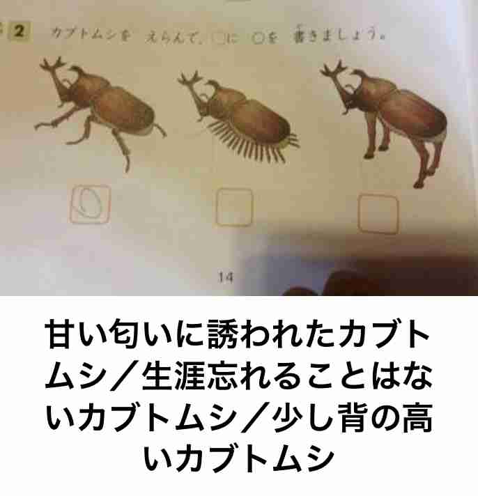 曲のイメージを画像で伝えるトピ