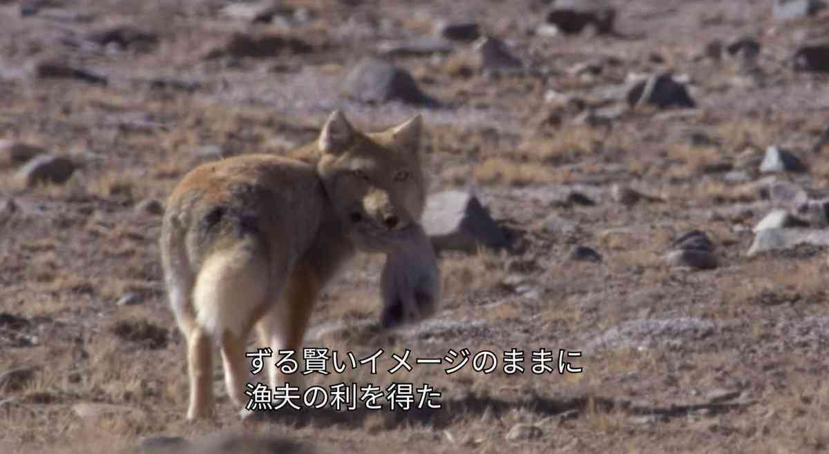 【なつぞら】第23週　なつよ、天陽くんにさよならを
