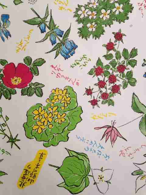 【なつぞら】第22週　なつよ、優しいわが子よ