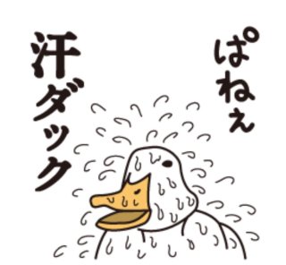 北海道民にしかわからないこと
