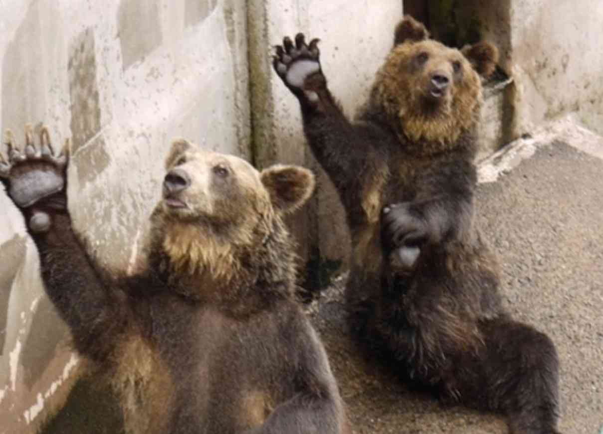 北海道民にしかわからないこと