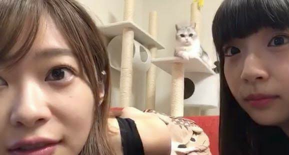 【3周まわって】指原莉乃が好き