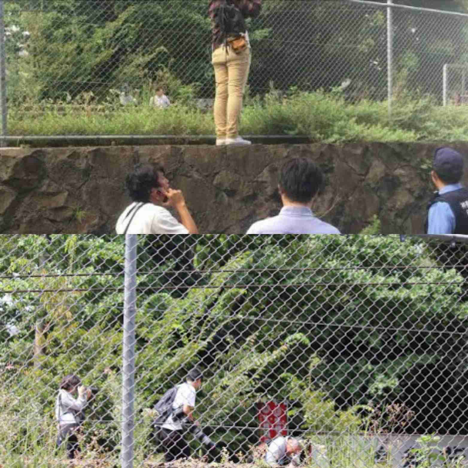 京急線の踏切 トラックと電車が衝突 17人けがの情報 横浜
