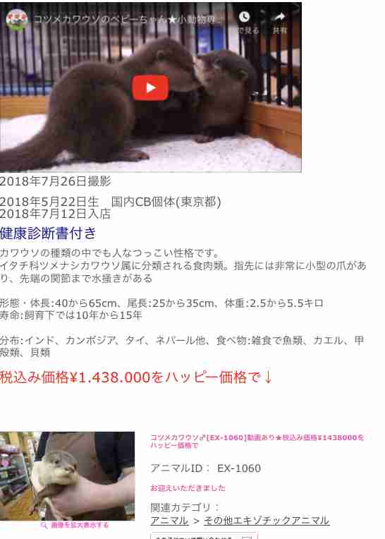 【妄想で耐える】ダンナが自分好みのイケメンかワガママ系美少女だったら許せること