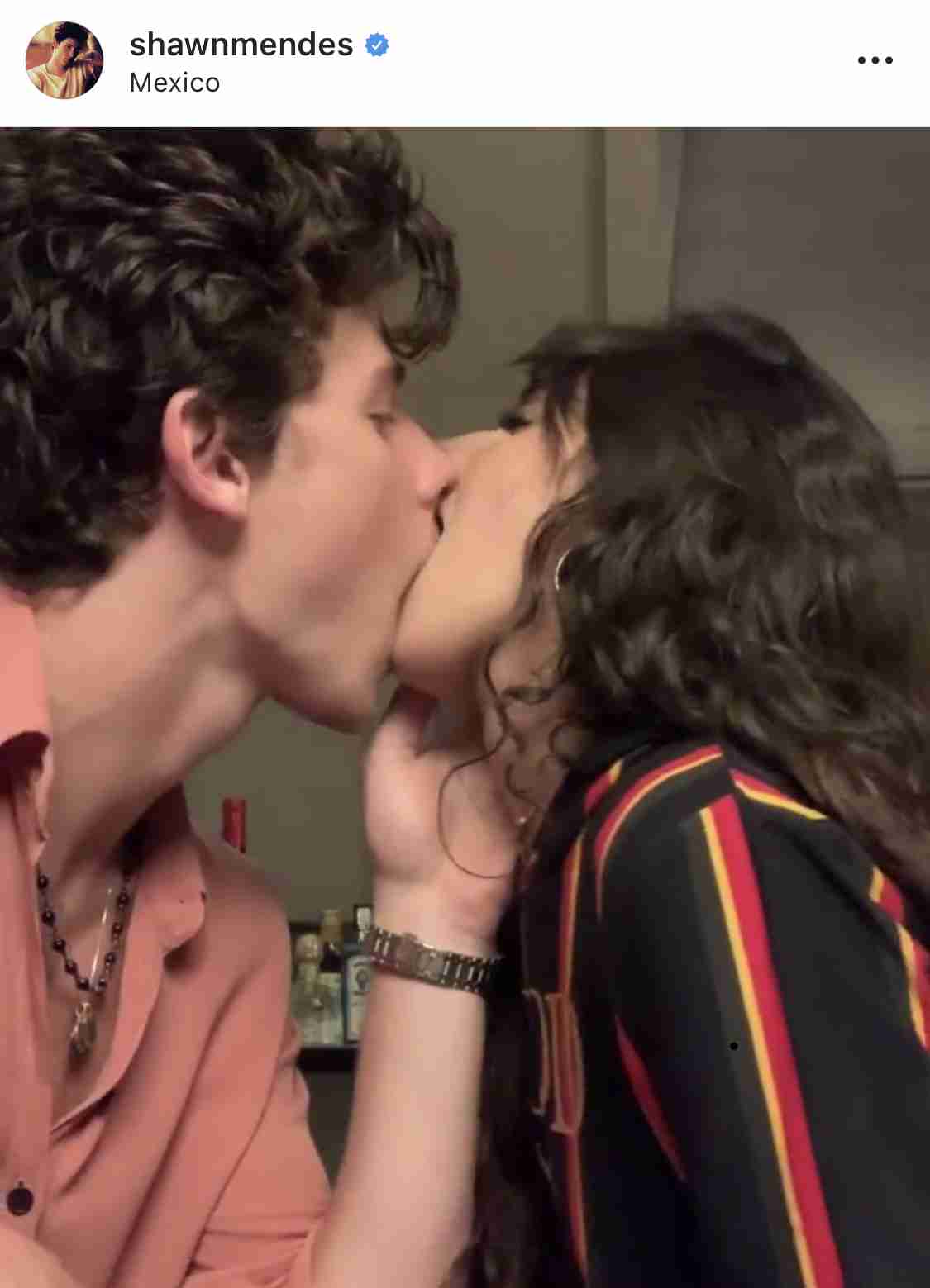 ショーン・メンデス、ステージでカミラ・カベロにキス　北米ツアー最終公演で