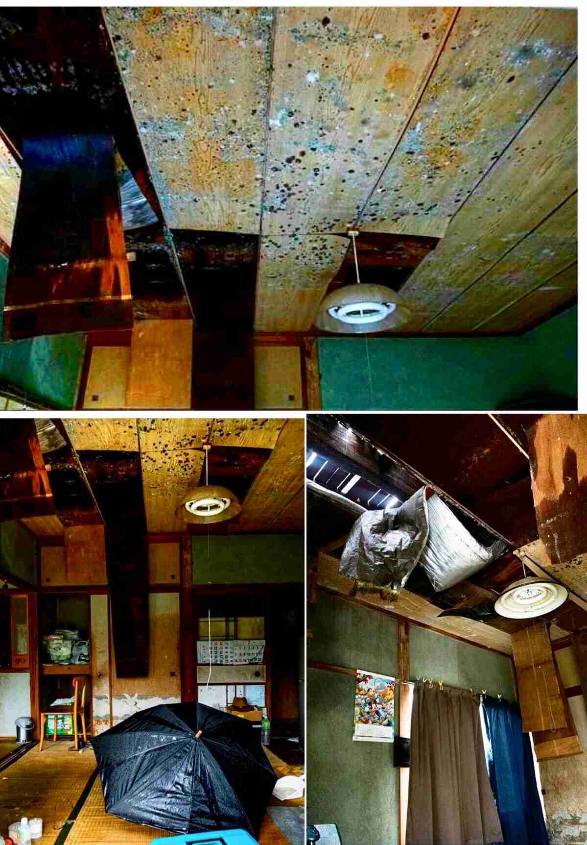 笑撃を受けた画像トピ