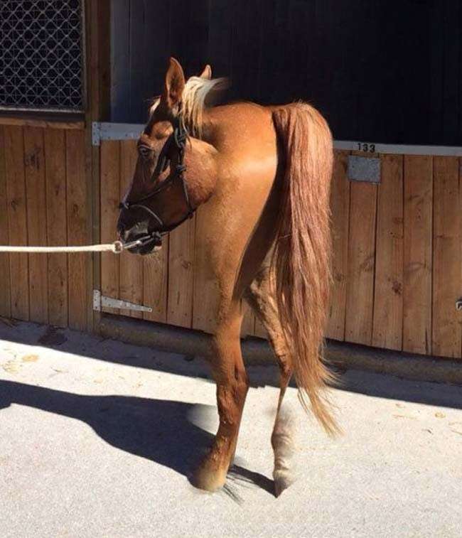 笑撃を受けた画像トピ