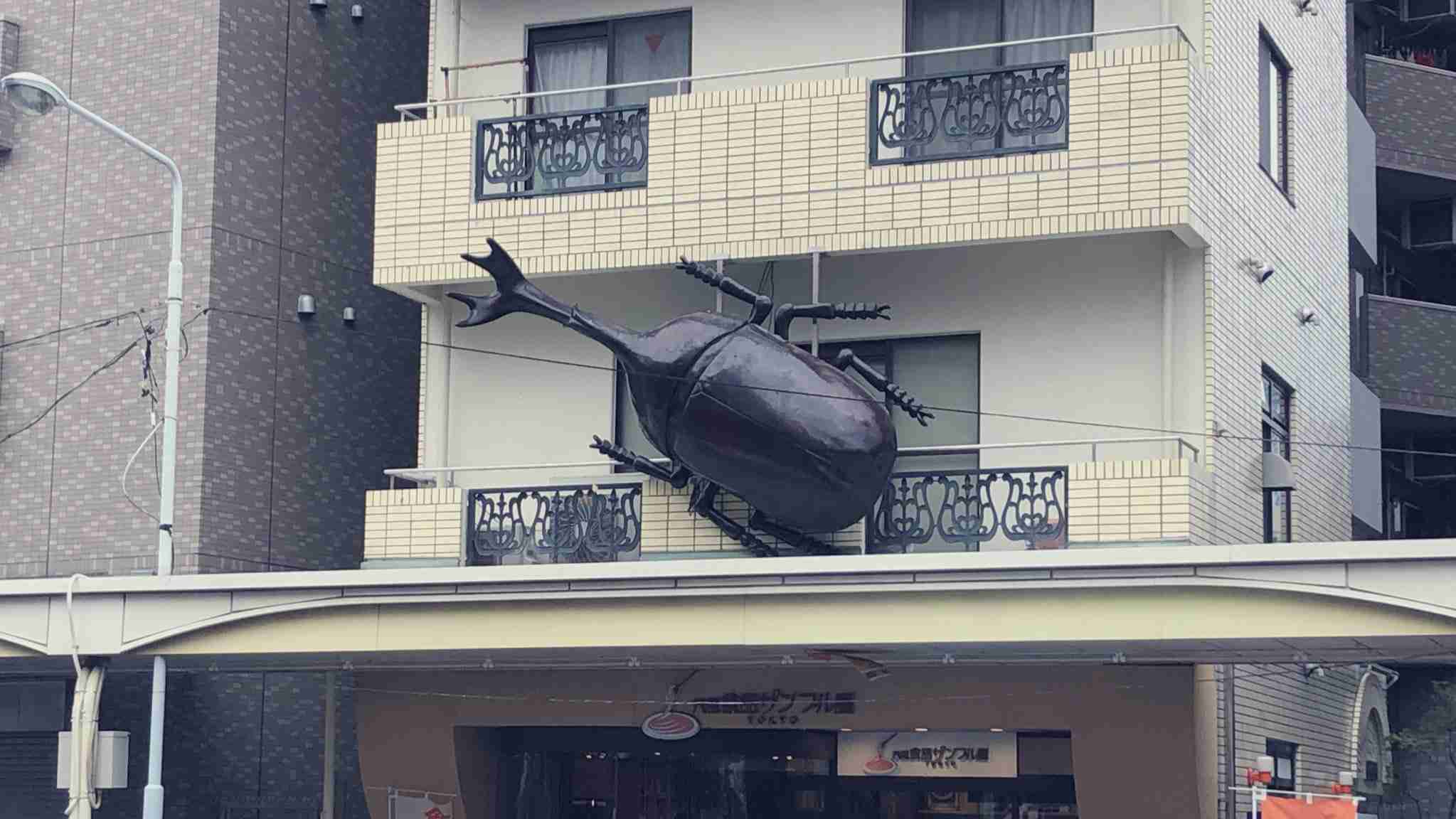 笑撃を受けた画像トピ