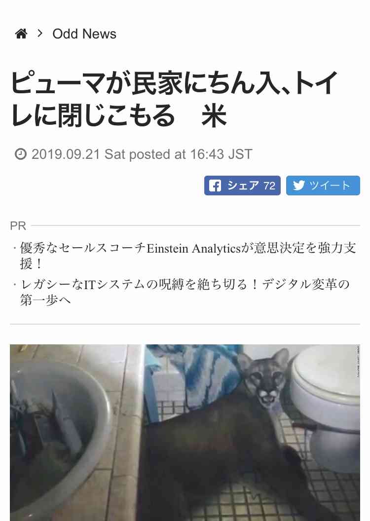 笑撃を受けた画像トピ