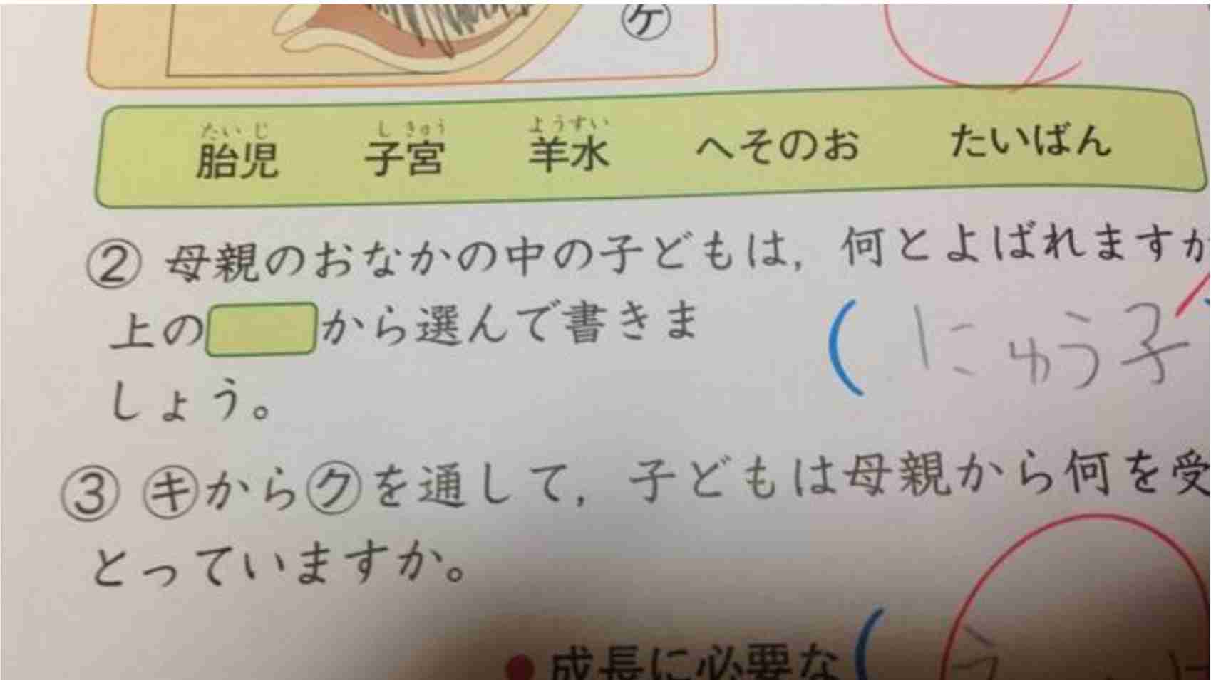 笑撃を受けた画像トピ