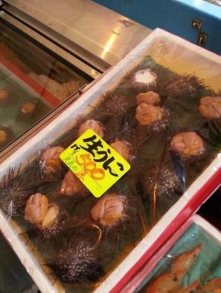 笑撃を受けた画像トピ