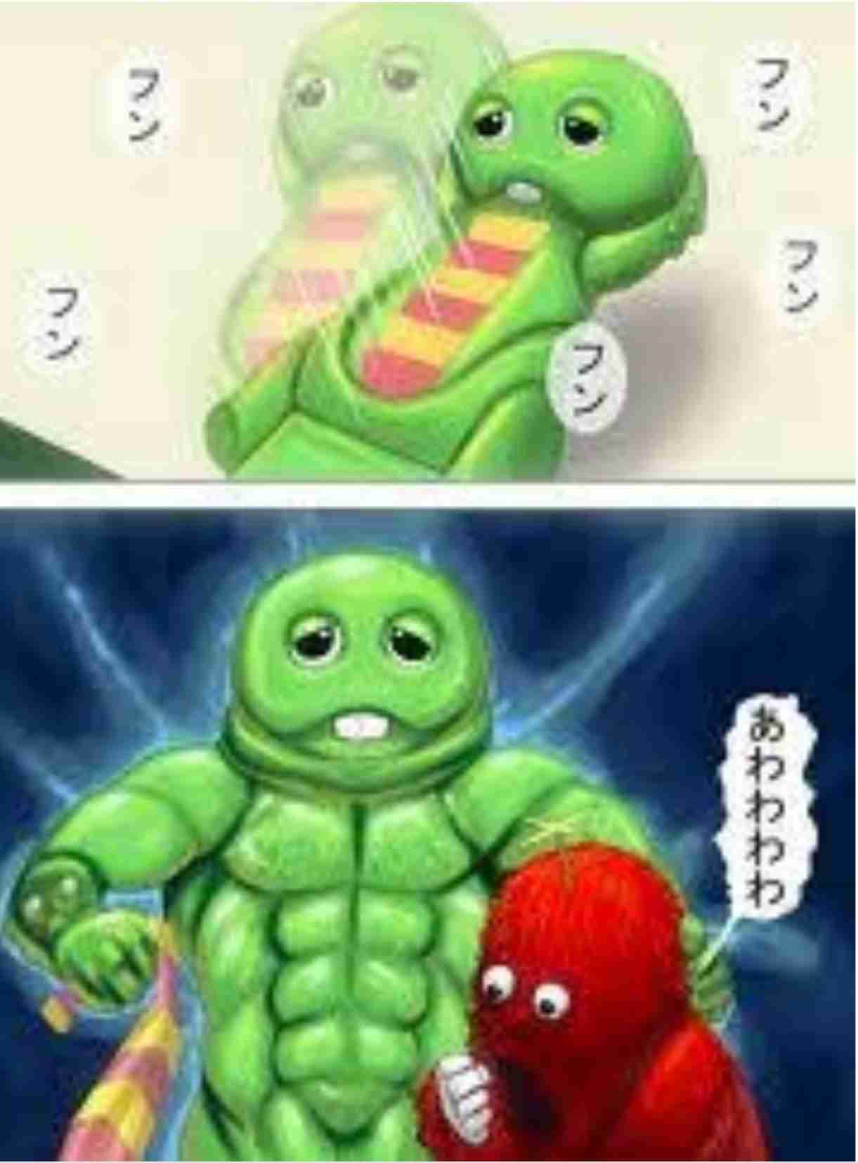 笑撃を受けた画像トピ