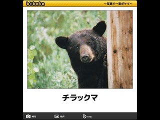 【閲覧注意】女性の耳の痛み　原因は耳に住み着いたクモだった