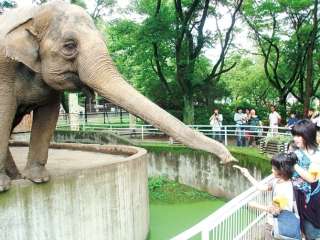 〇〇を一人でやったことある方、経験談お聞かせください