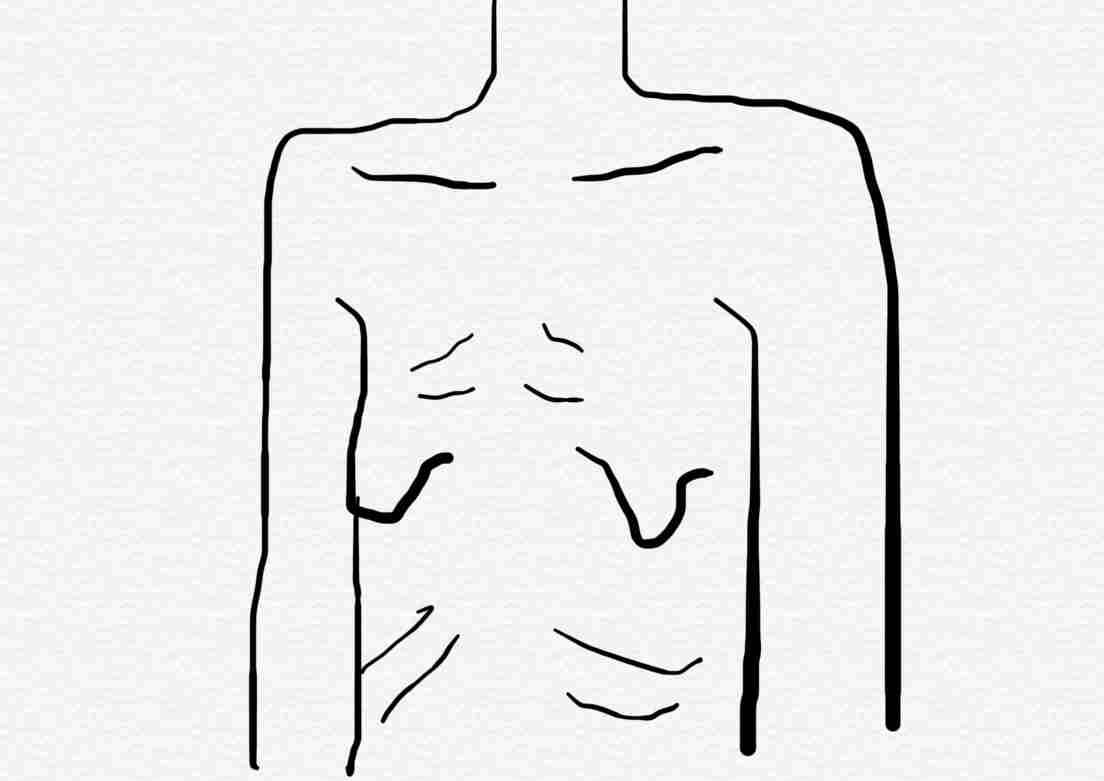 貧乳あるある言いたい。