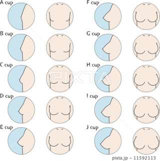貧乳あるある言いたい。