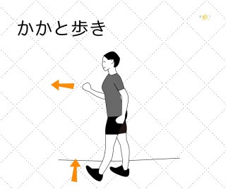 貧乳あるある言いたい。