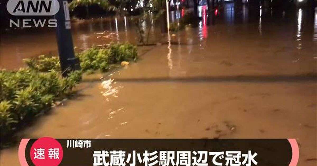 「ウンコ水」と大騒ぎ…武蔵小杉を襲った茶色い水の“正体”