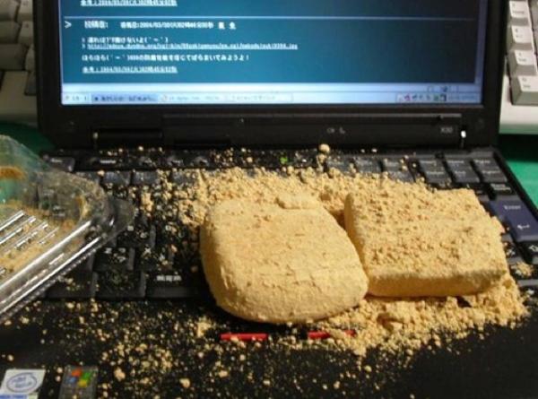 【一応閲覧注意】ストレスになるかもしれない画像を貼るトピ