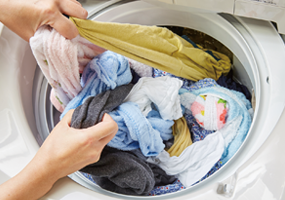 【一応閲覧注意】ストレスになるかもしれない画像を貼るトピ