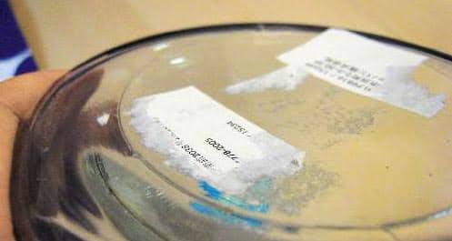 【一応閲覧注意】ストレスになるかもしれない画像を貼るトピ