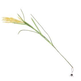 【ツアーグッズ】芸能人の面白グッズ【コラボ商品】